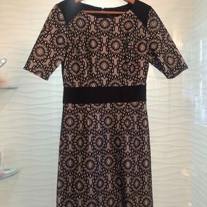 Elegant Midi Dress